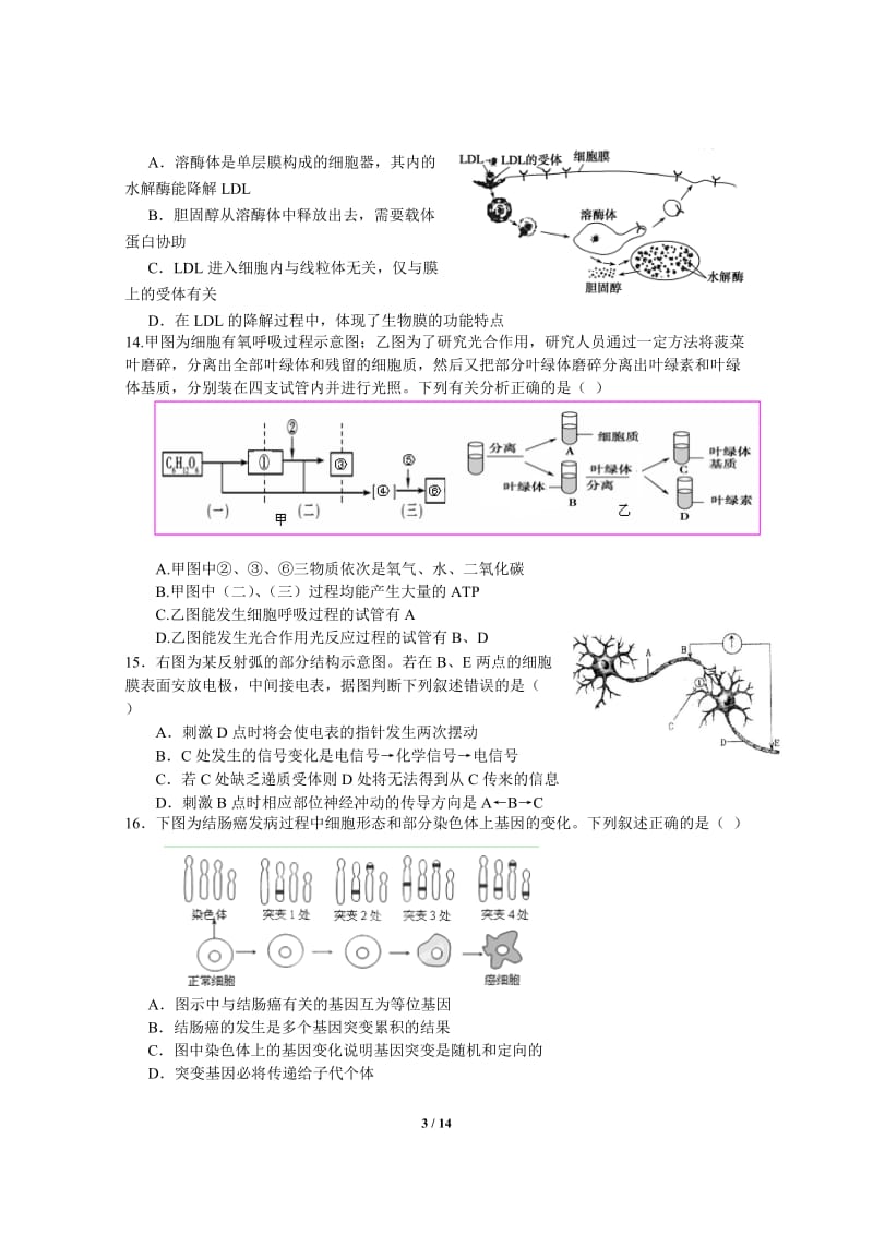 上海市徐汇区2013届高三生物二模试卷含答案.doc_第3页