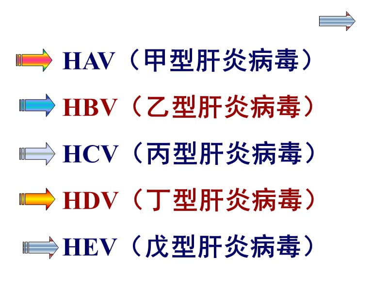 第28章肝炎病毒.ppt_第2页