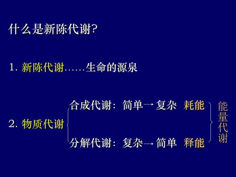 第4章糖代谢.ppt_第3页