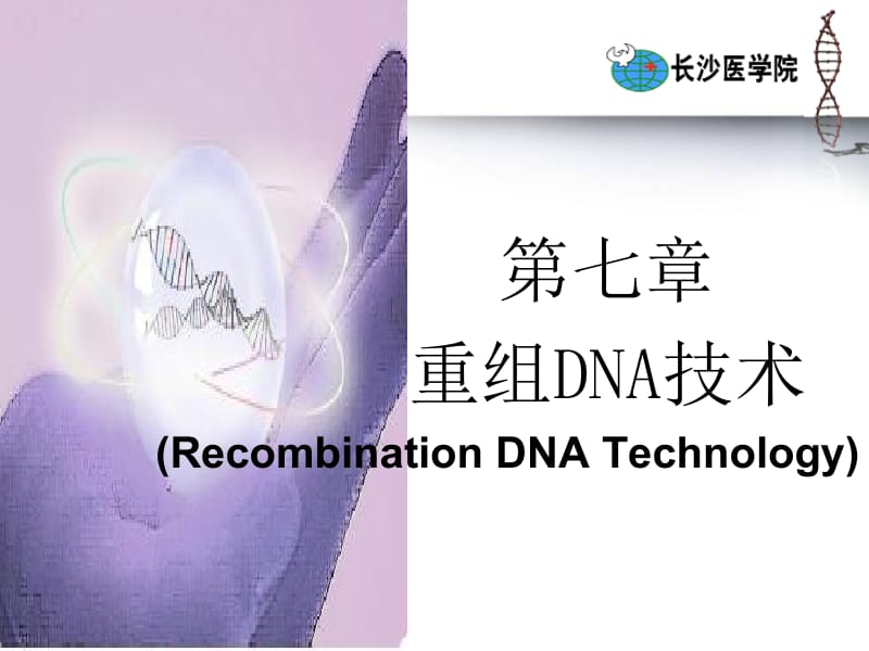 重组DNA技术.ppt_第1页