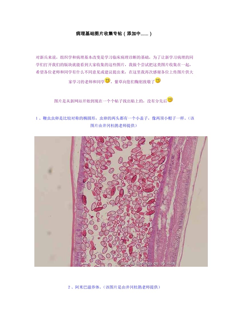 病理基础图片收集专帖.doc_第1页