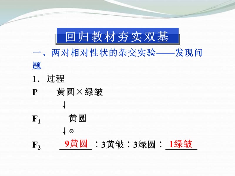 高考导航2013年高考生物第五单元第14讲自由组合定律复习课件新人教版.ppt_第2页