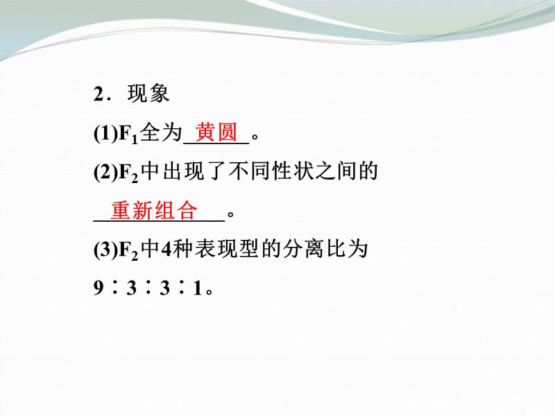 高考导航2013年高考生物第五单元第14讲自由组合定律复习课件新人教版.ppt_第3页