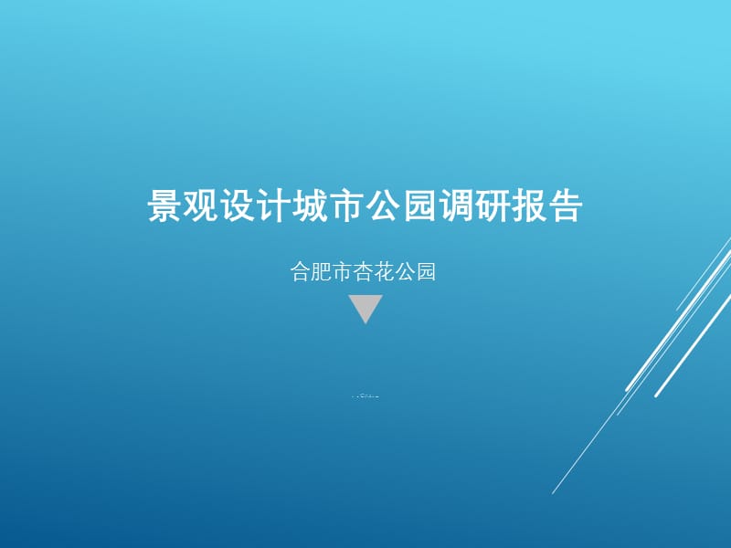 合肥市杏花公园景观设计调研报告.ppt_第1页