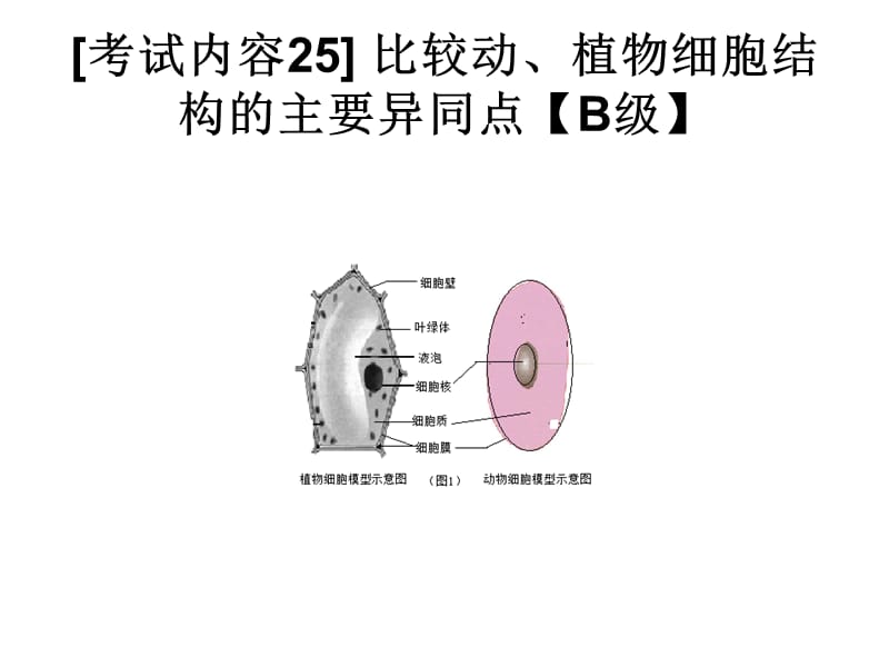 连云港中考生物下24-44.ppt_第2页