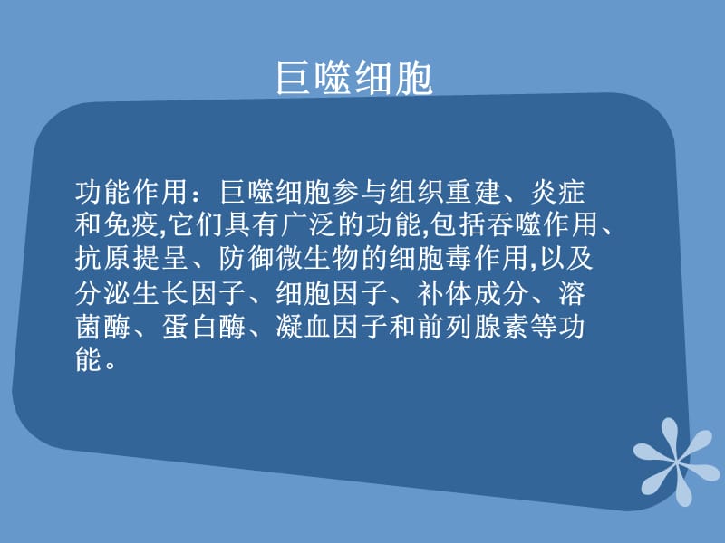 肿瘤与巨噬细胞的关系.ppt_第2页