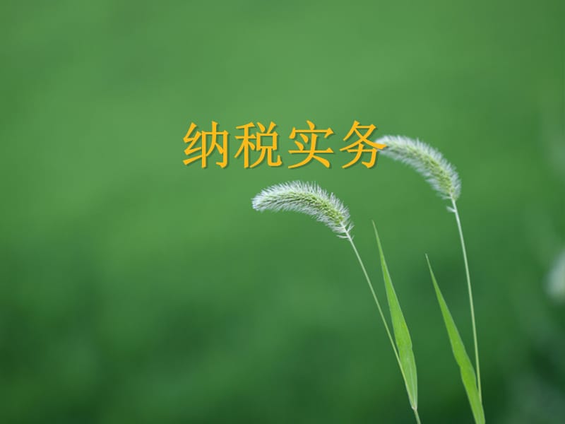 纳税实务.ppt_第1页