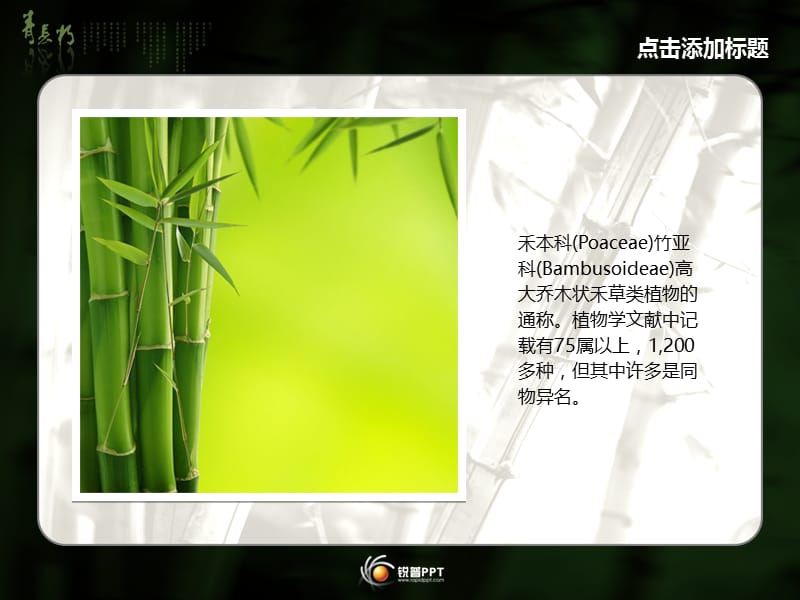 清雅竹趣.ppt_第2页