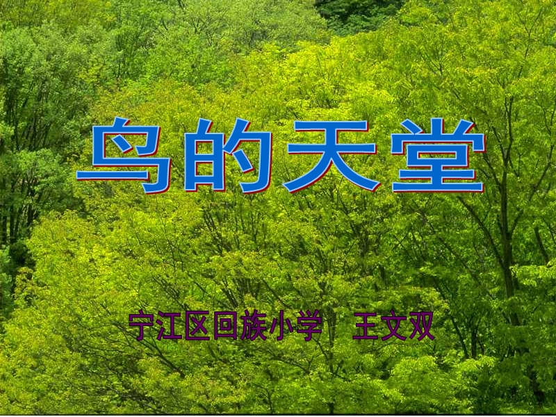 如果你是这只画眉鸟你会兴奋地叫些什么.ppt_第1页