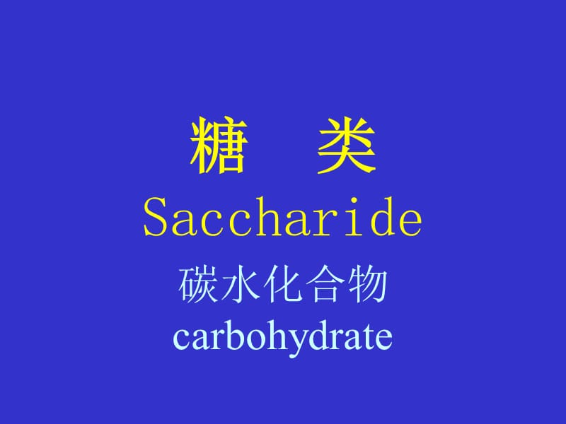 糖类Saccharide.ppt_第1页