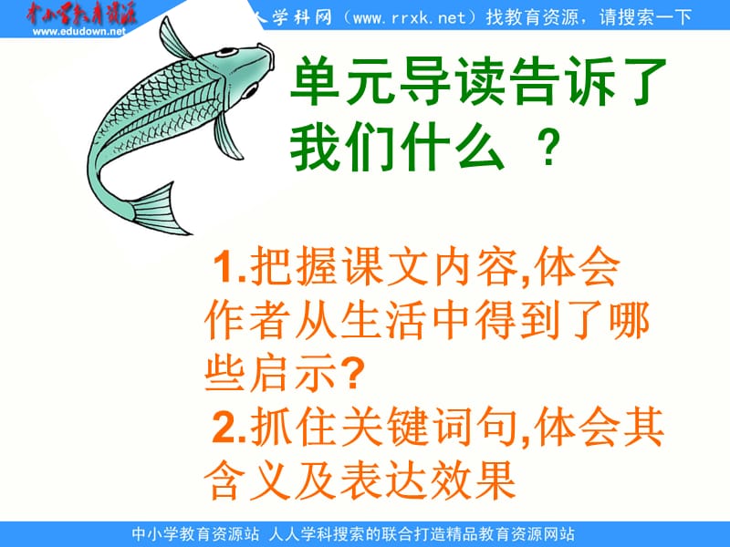 鲁教版四年级上册钓鱼的启示课件4.ppt_第2页