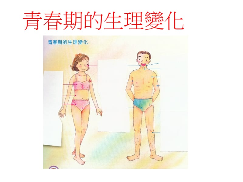 青春期的生理变化.ppt_第1页