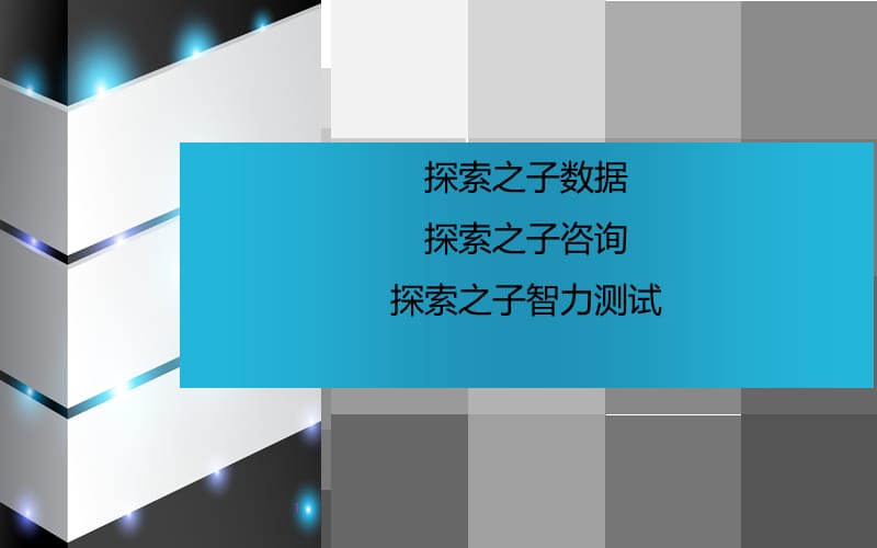 探索之子咨询.ppt_第1页