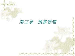 第三章预算管理.ppt