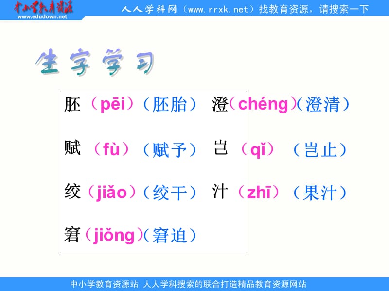 鲁教版四年级下册童年的发现课件2.ppt_第3页