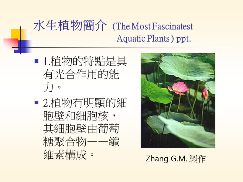 水生植物简介TheMostFascinatestAquaticPlants.ppt_第1页