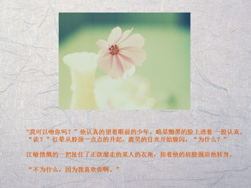 日光倾城.ppt_第2页