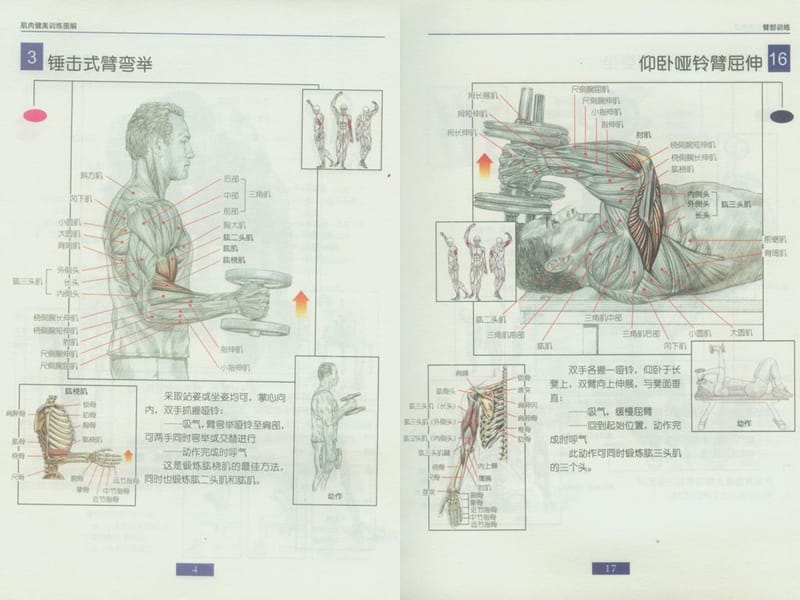 哑铃健身精美图解ppt课件.ppt_第3页