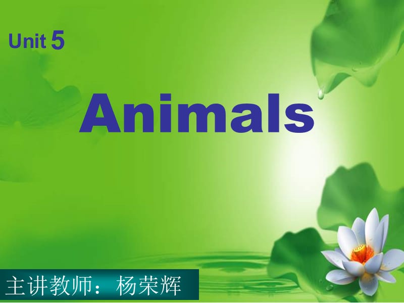 新蕾快乐英语一上Unit5Animals课件之一.ppt_第1页