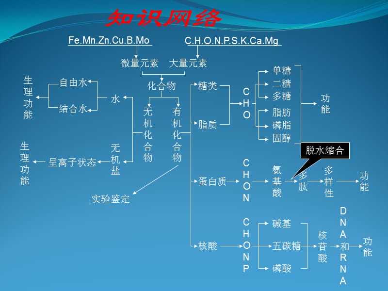 萝卜家园-第一单元.ppt_第2页