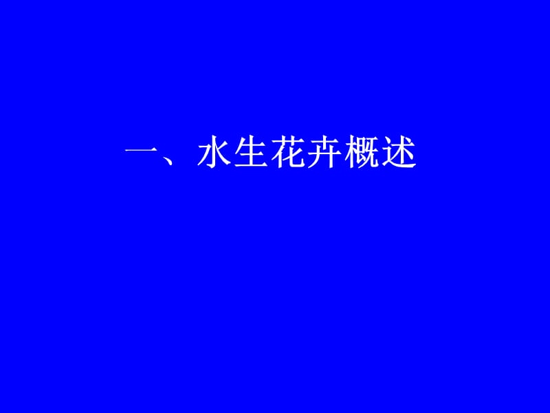 水生花卉.ppt_第2页