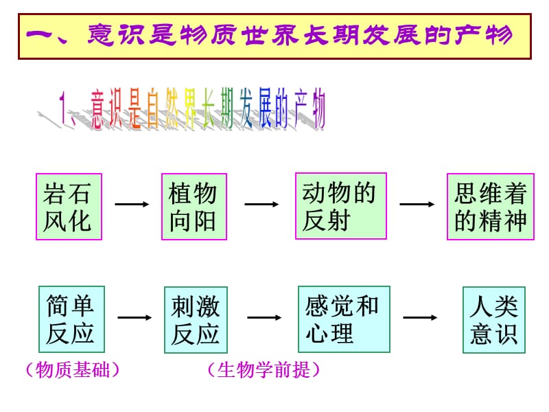 新意识的本质.ppt_第3页