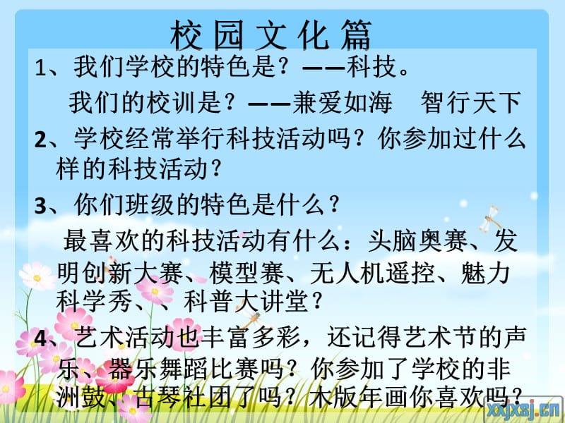 我们的少先队活动实践活动篇.ppt_第3页