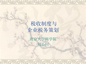 税收制度与企业税务策划.ppt