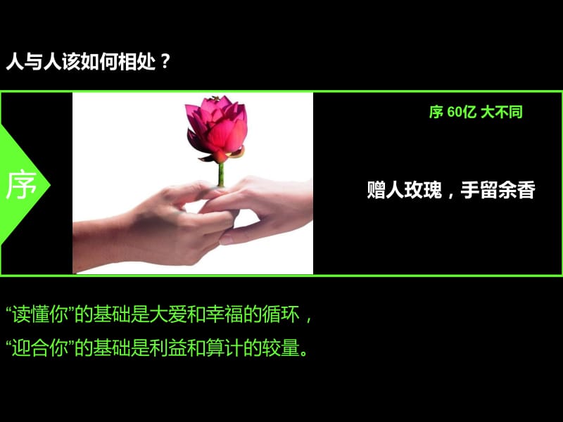 我为什么看不懂你句摘.ppt_第2页