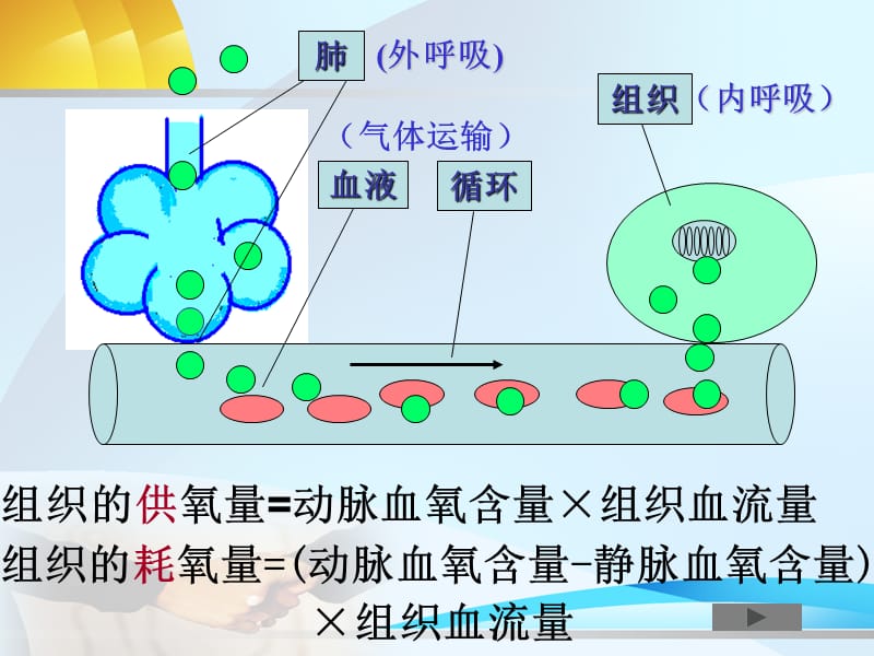 缺氧.ppt_第3页