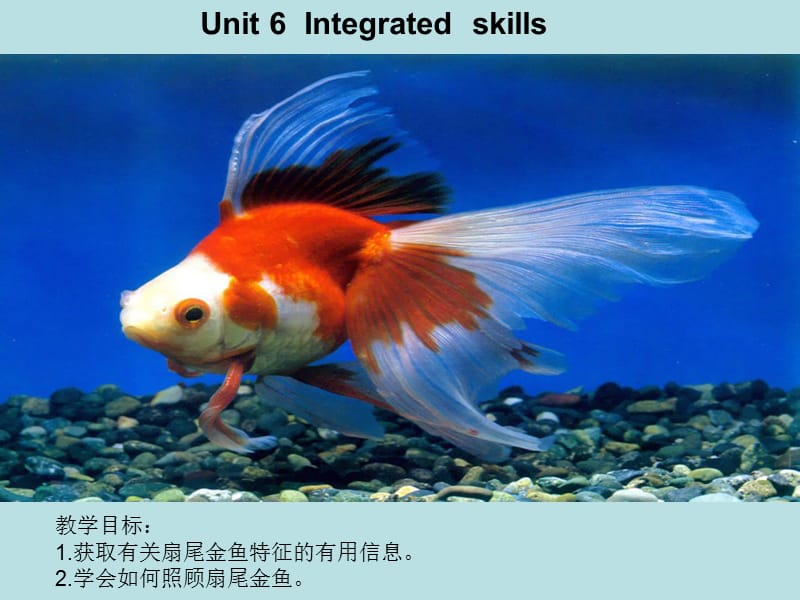 《 牛津英语7B U6 Integrated skills 》.ppt_第1页