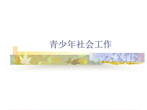 青少年社会工作课件.ppt