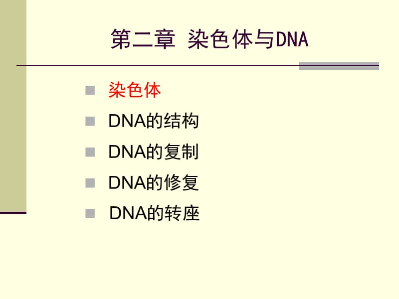 染色体和DNA02.ppt_第1页