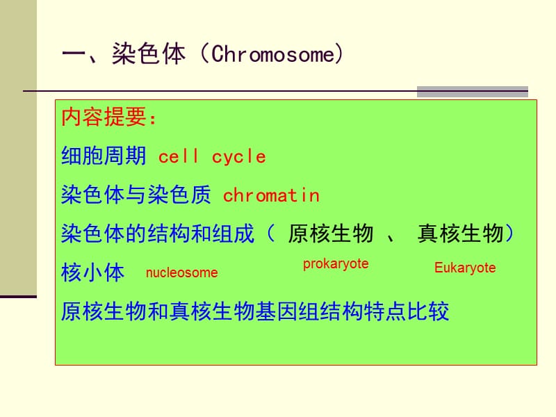 染色体和DNA02.ppt_第2页