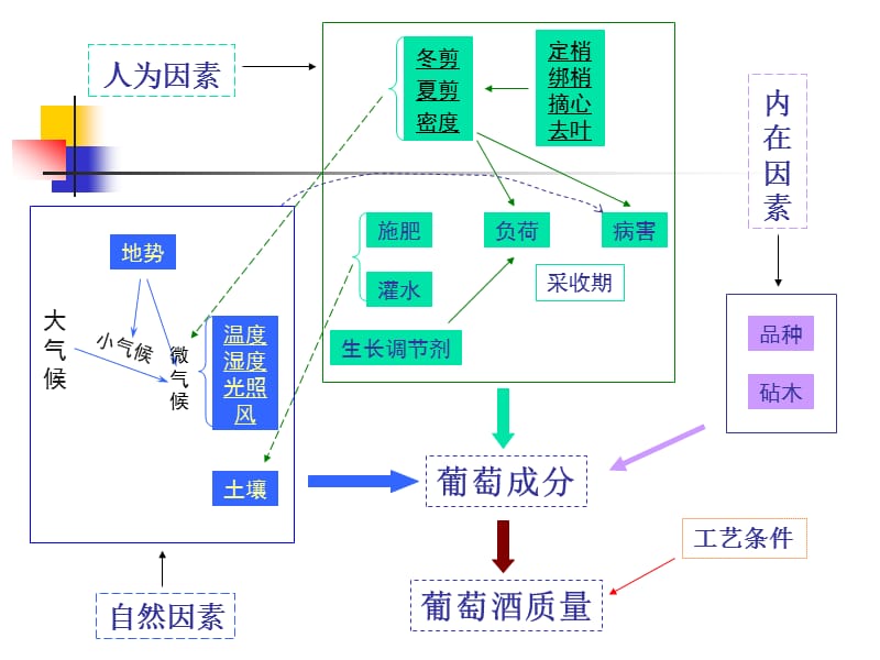 酿酒葡萄及葡萄酒品质的影响因素.ppt_第2页