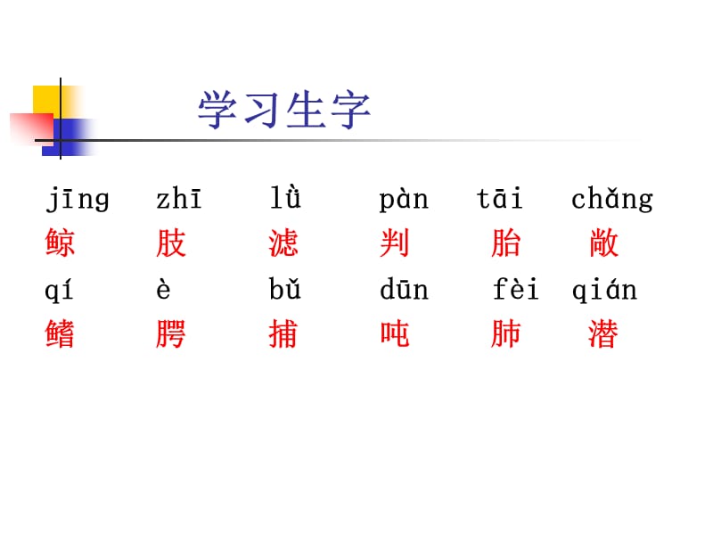 四年级下册鲸语文S版.ppt_第3页