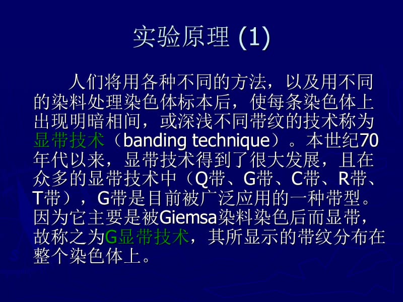 染色体G显带技术及其原理.ppt_第3页