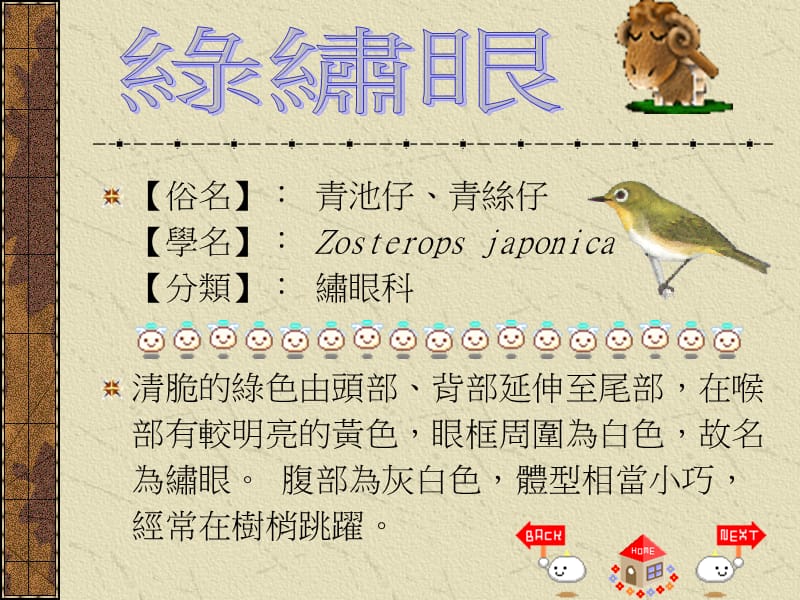 一年14班一号高子竣指导老师黄源弘.ppt_第2页