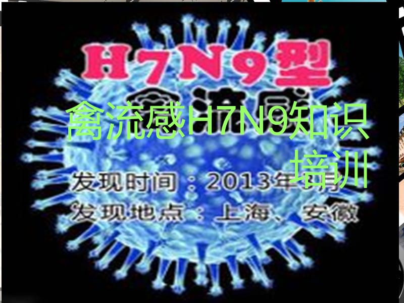 禽流感HN知识培训.ppt_第1页