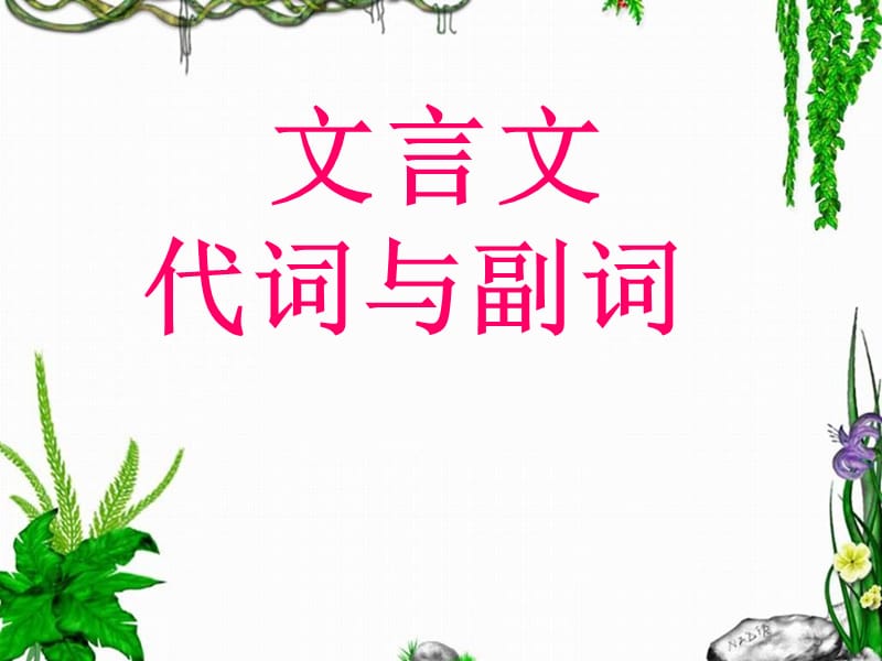 文言文代词与副词.ppt_第1页