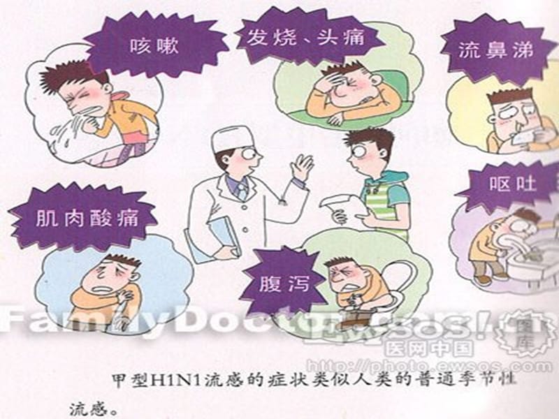 让H1N1远离我们课件.ppt_第2页