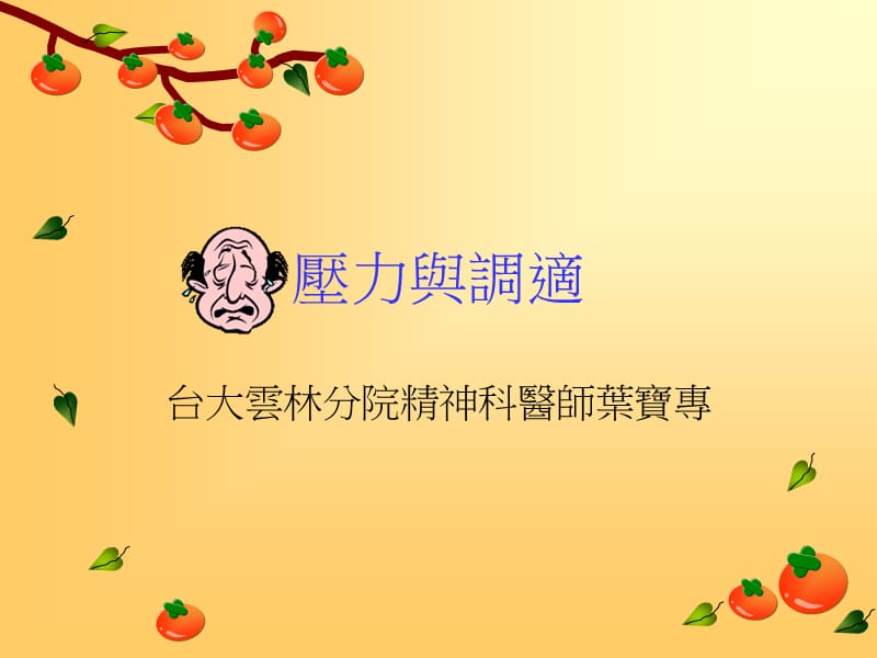 压力与调适.ppt_第1页