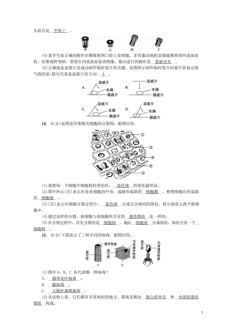 2018届中考生物专题3生物体的结构层次复习练习20170912431.wps_第3页