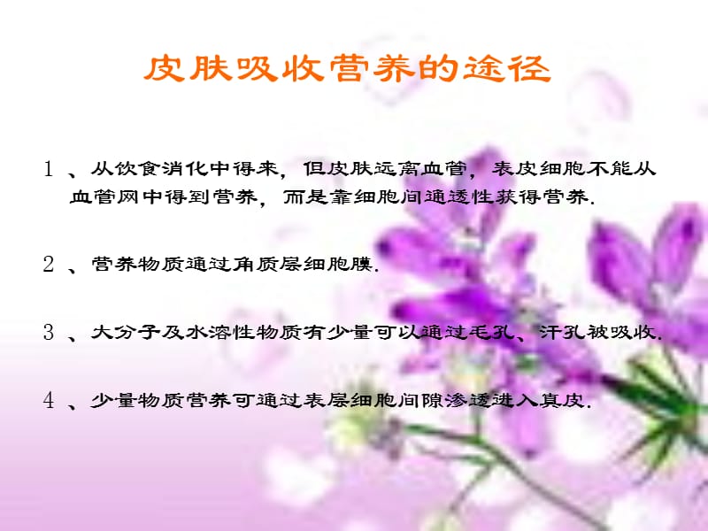 与皮肤吸收相关种种.ppt_第3页