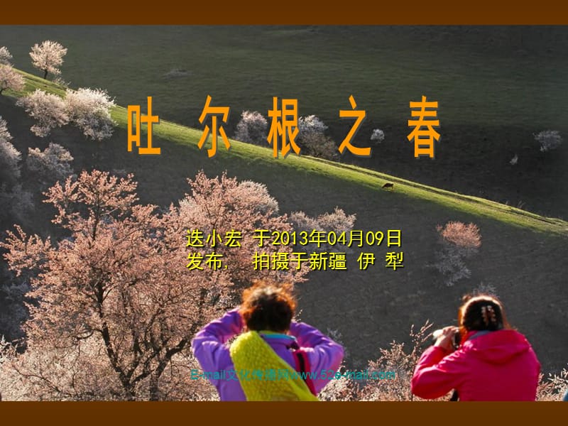 吐尔根之春.ppt_第1页