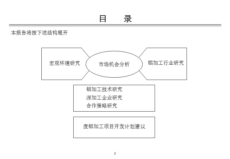 罗兰内格－宝钢国际咨询报告.ppt_第3页