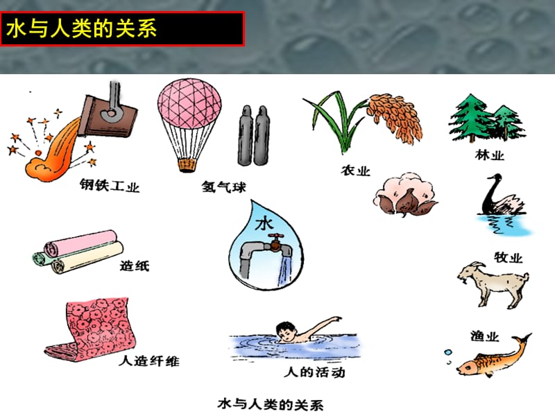 水与人类的关系.ppt_第2页