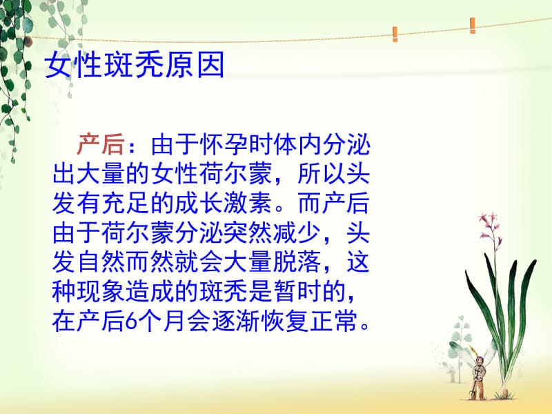 女性斑秃的原因.ppt_第2页