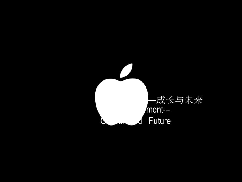 网络支付与结算.ppt_第2页