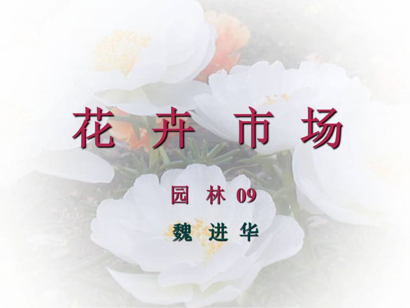 魏进华花卉市场考察实物参考.ppt_第1页